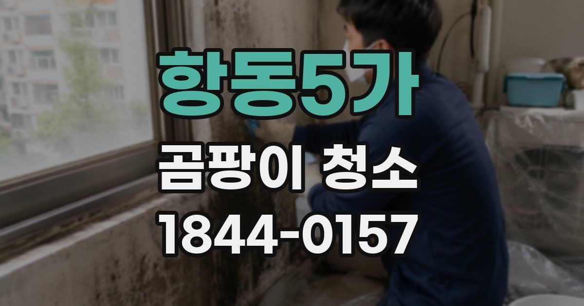 항동5가 곰팡이 청소
