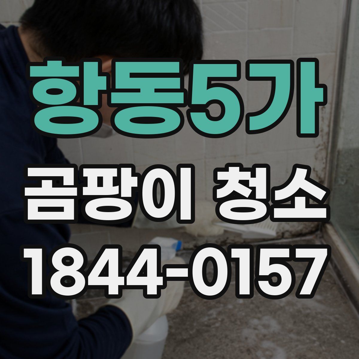 항동5가 곰팡이 청소