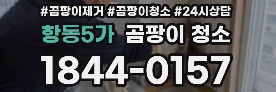 항동5가 곰팡이 청소