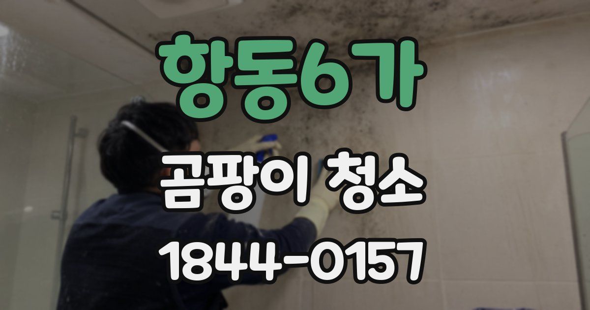 항동6가 곰팡이 청소