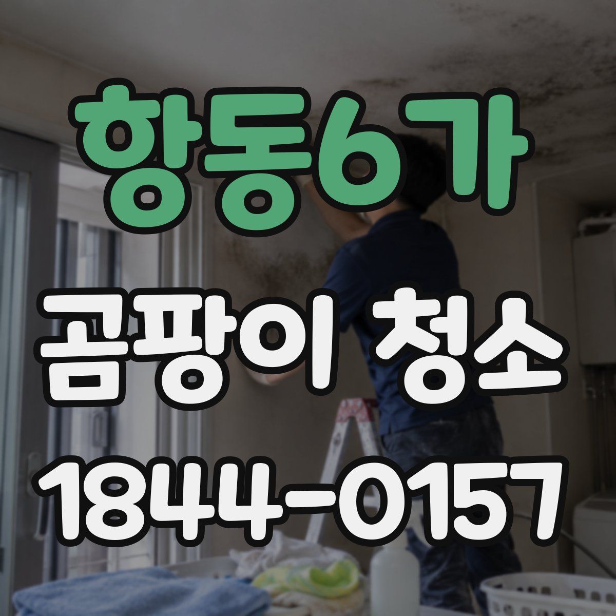 항동6가 곰팡이 청소