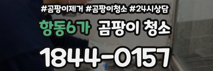 항동6가 곰팡이 청소