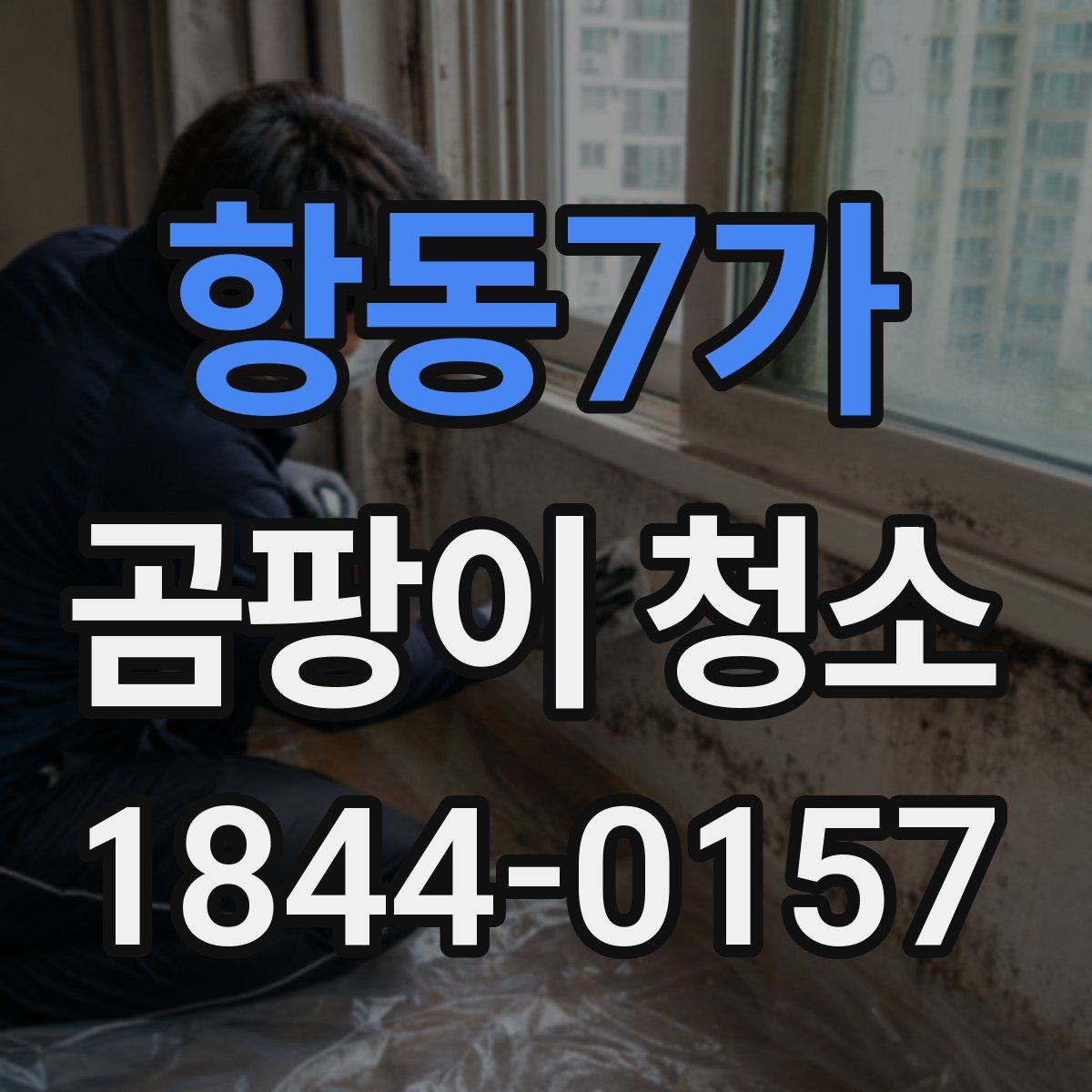 항동7가 곰팡이 청소