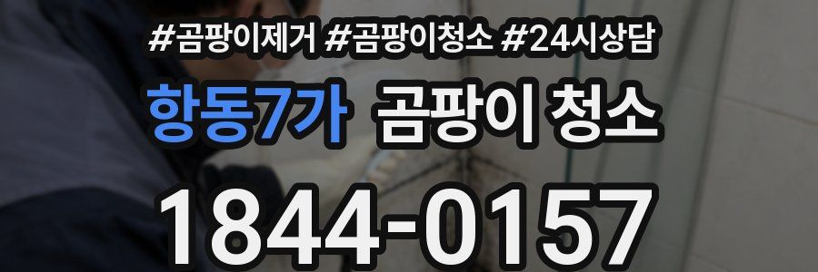 항동7가 곰팡이 청소