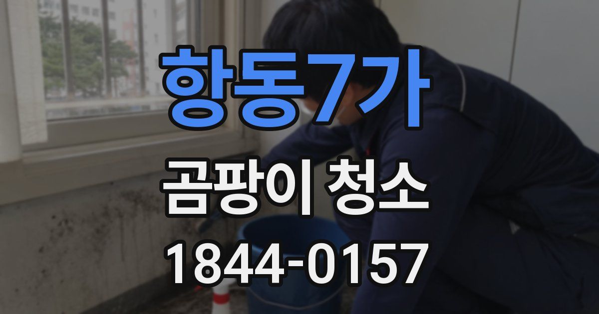 항동7가 곰팡이 청소