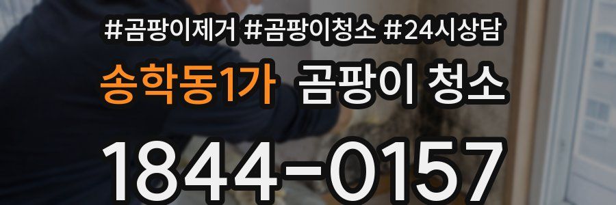 송학동1가 곰팡이 청소