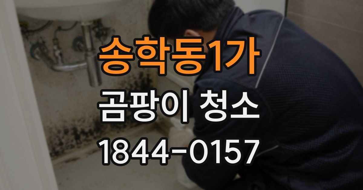 송학동1가 곰팡이 청소