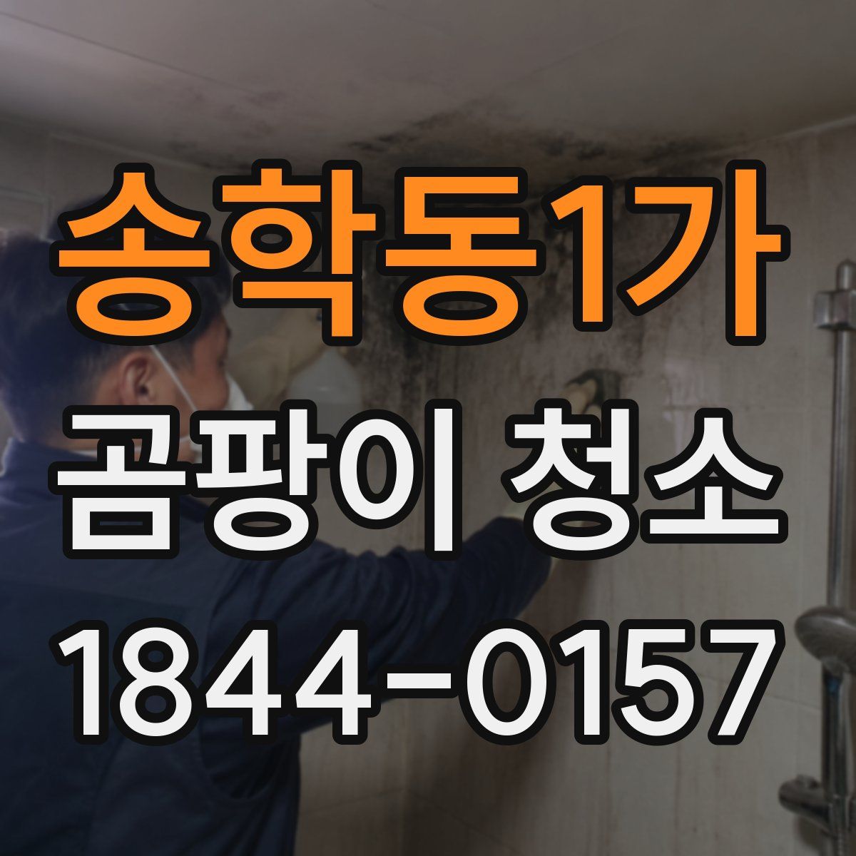 송학동1가 곰팡이 청소