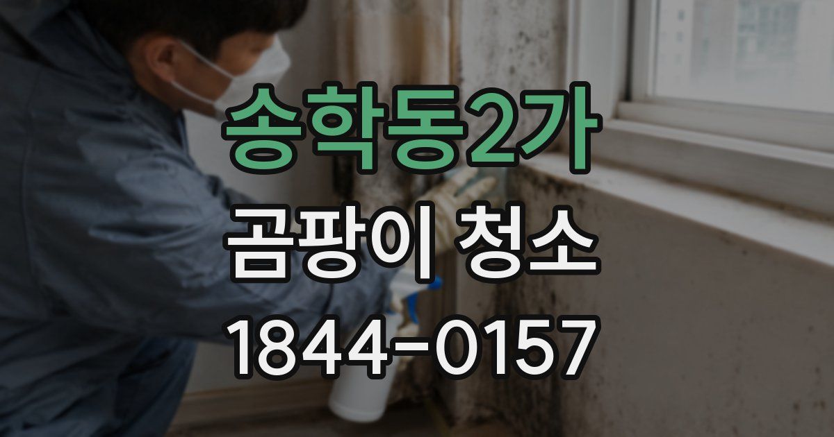 송학동2가 곰팡이 청소
