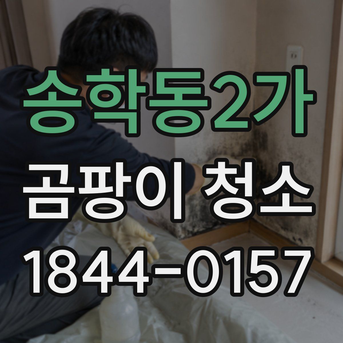 송학동2가 곰팡이 청소