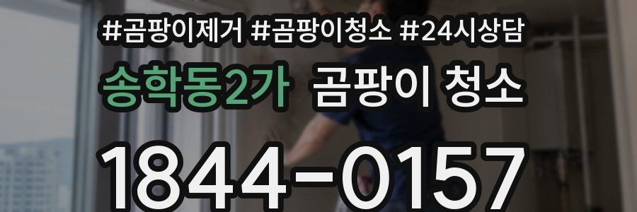 송학동2가 곰팡이 청소