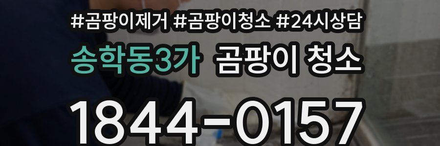 송학동3가 곰팡이 청소