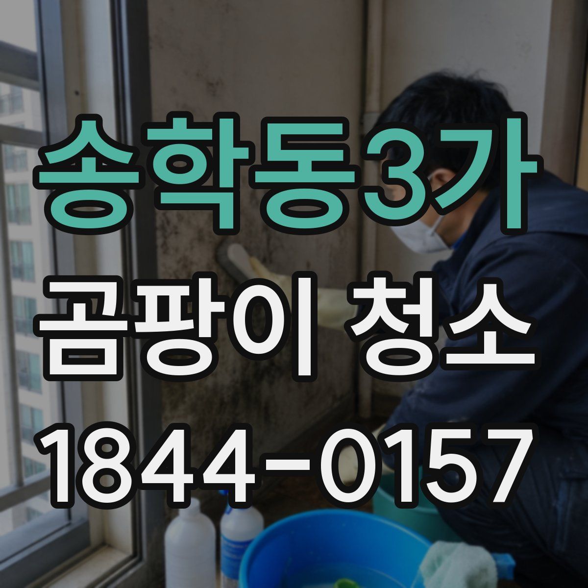 송학동3가 곰팡이 청소