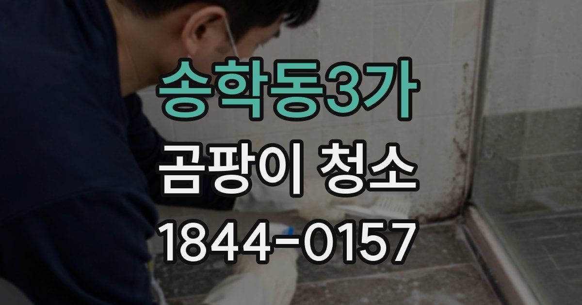 송학동3가 곰팡이 청소