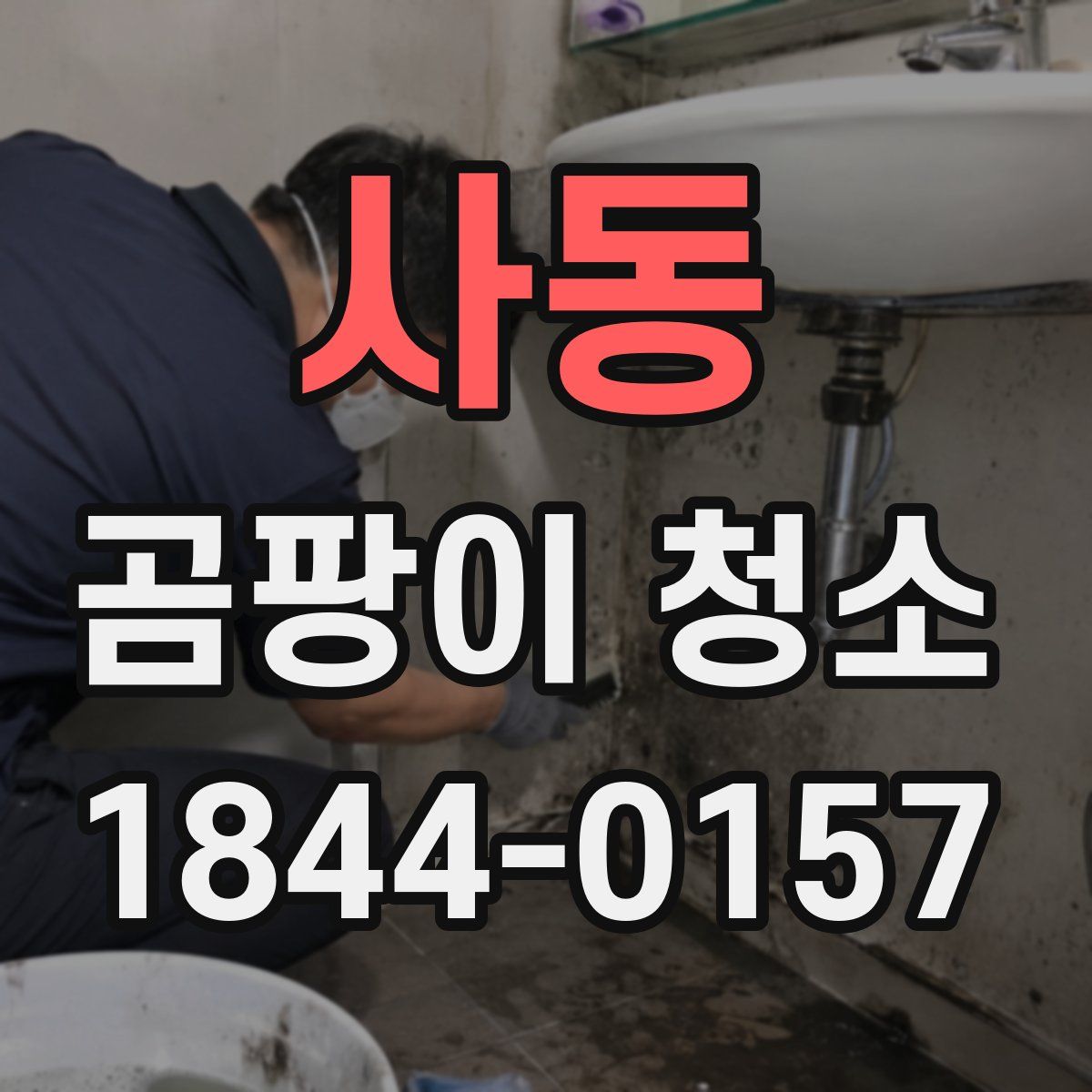 사동 곰팡이 청소