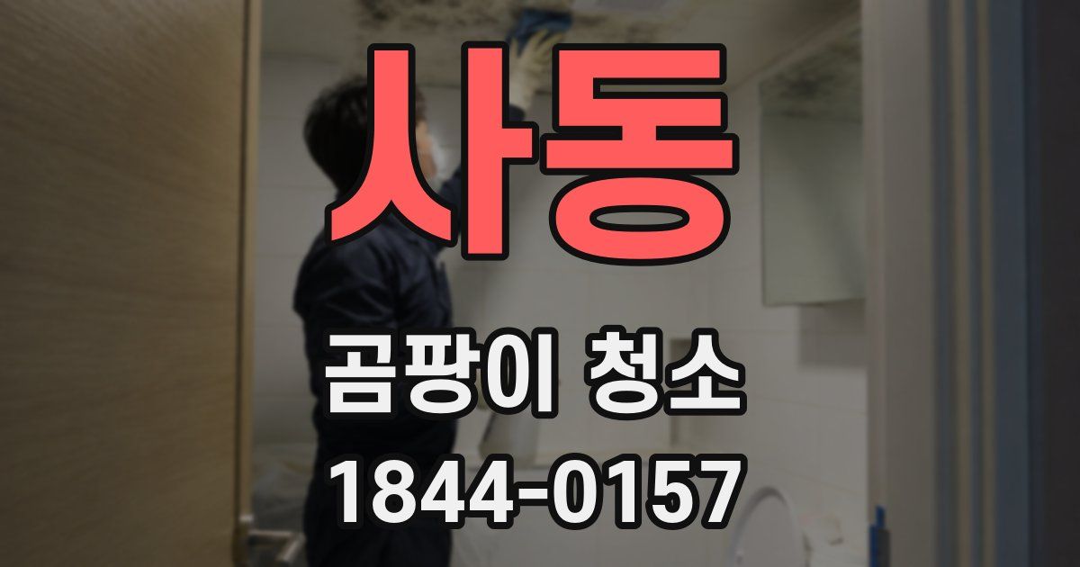 사동 곰팡이 청소