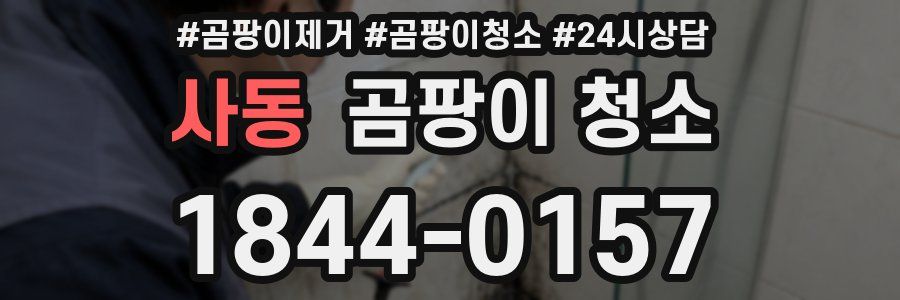 사동 곰팡이 청소