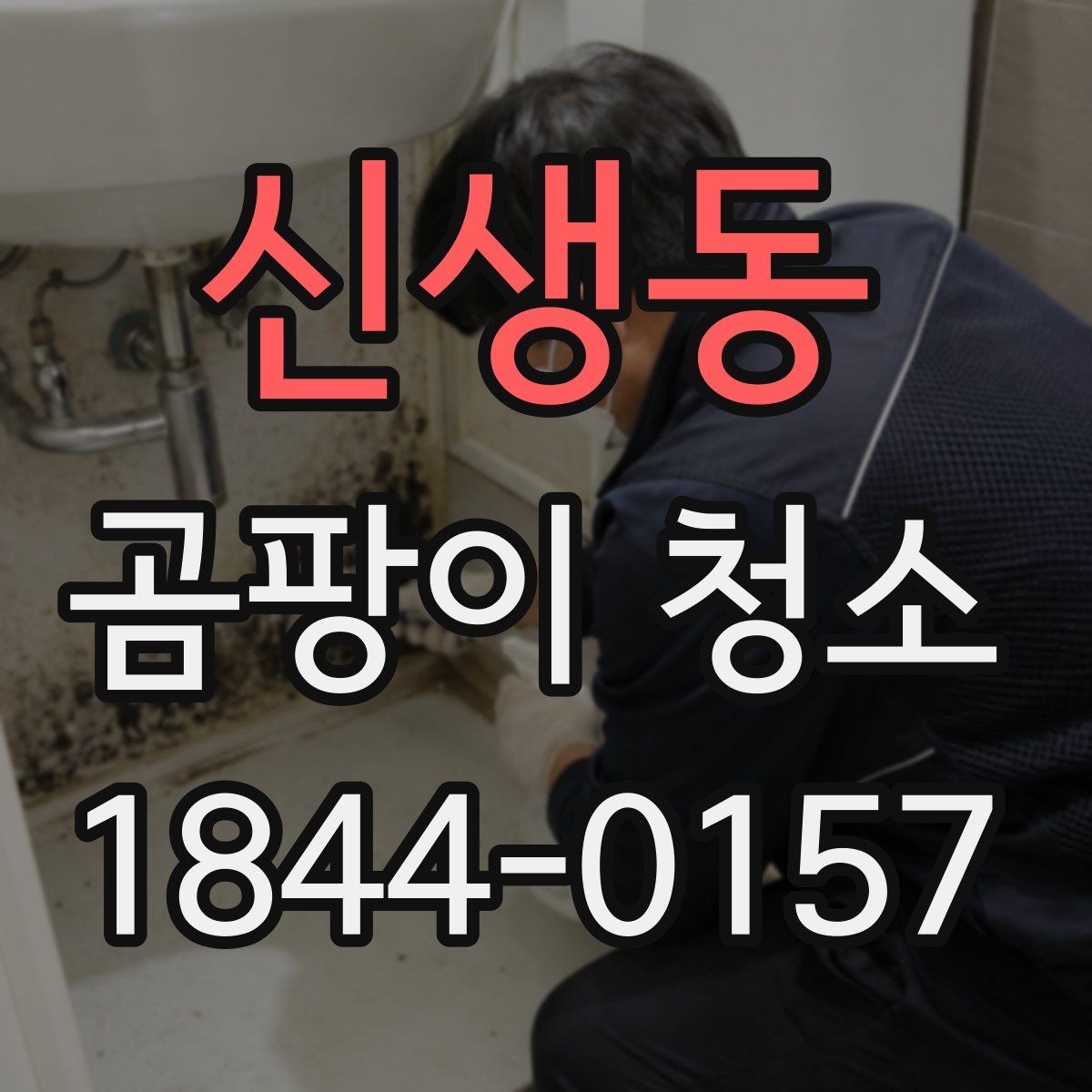 신생동 곰팡이 청소