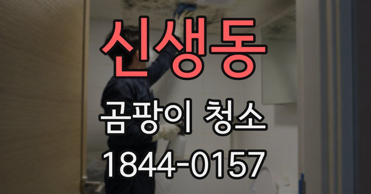 신생동 곰팡이 청소