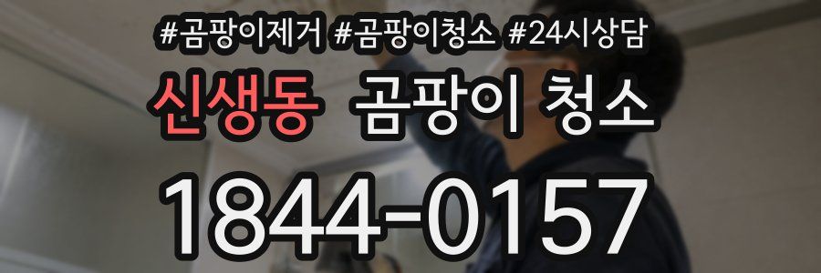 신생동 곰팡이 청소