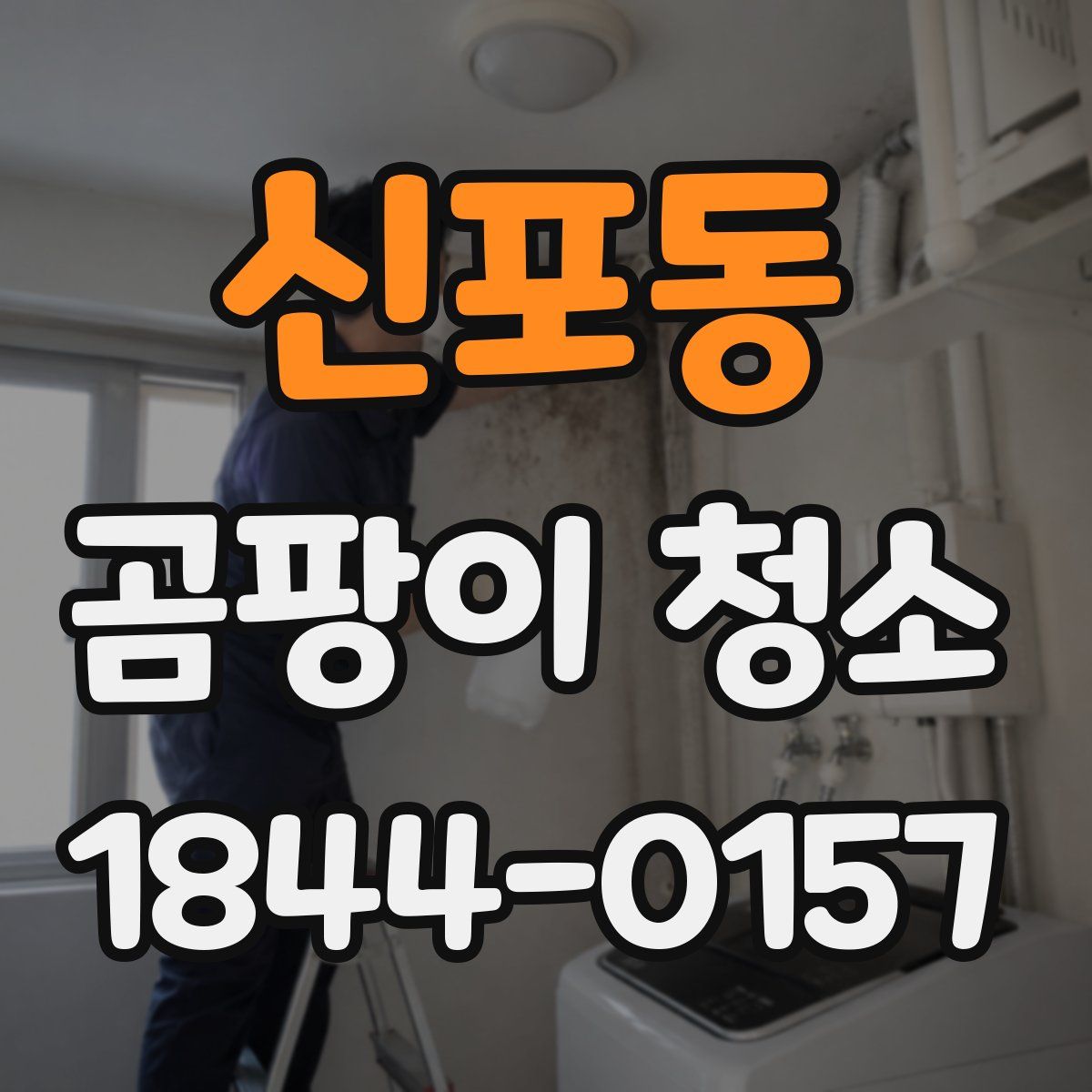 신포동 곰팡이 청소