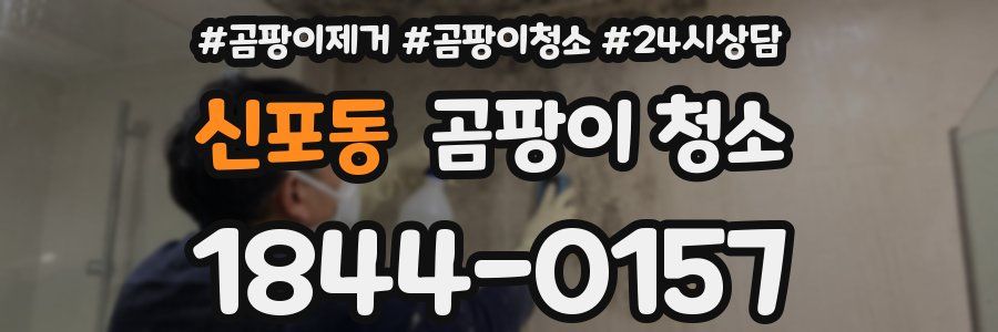 신포동 곰팡이 청소