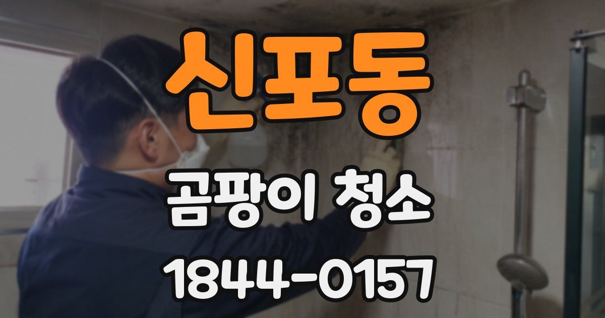 신포동 곰팡이 청소