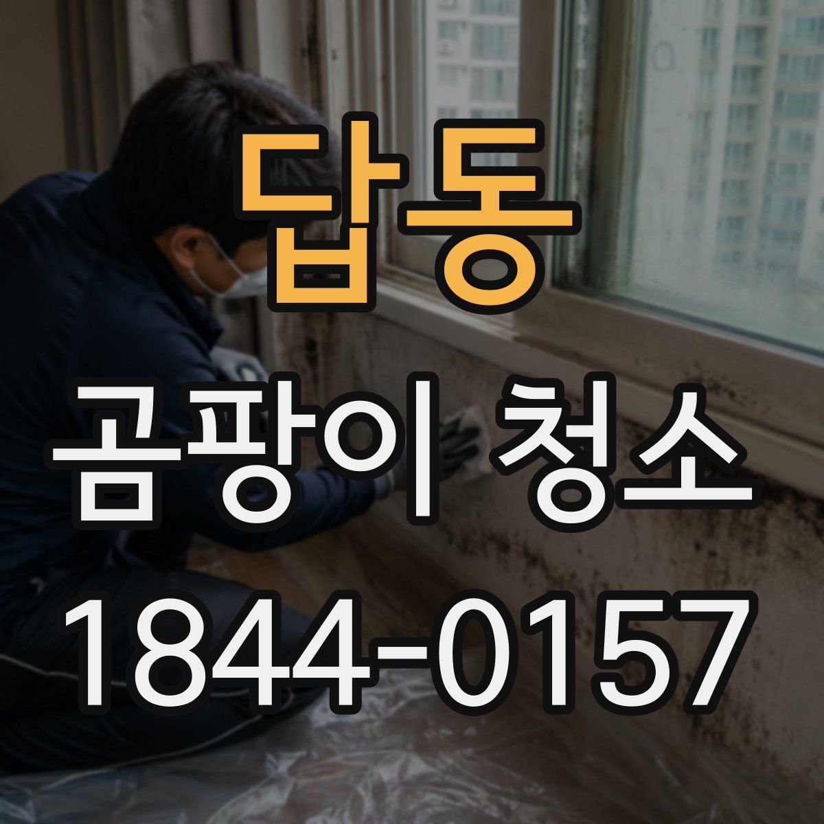 답동 곰팡이 청소