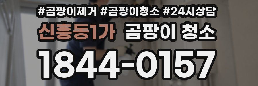 신흥동1가 곰팡이 청소