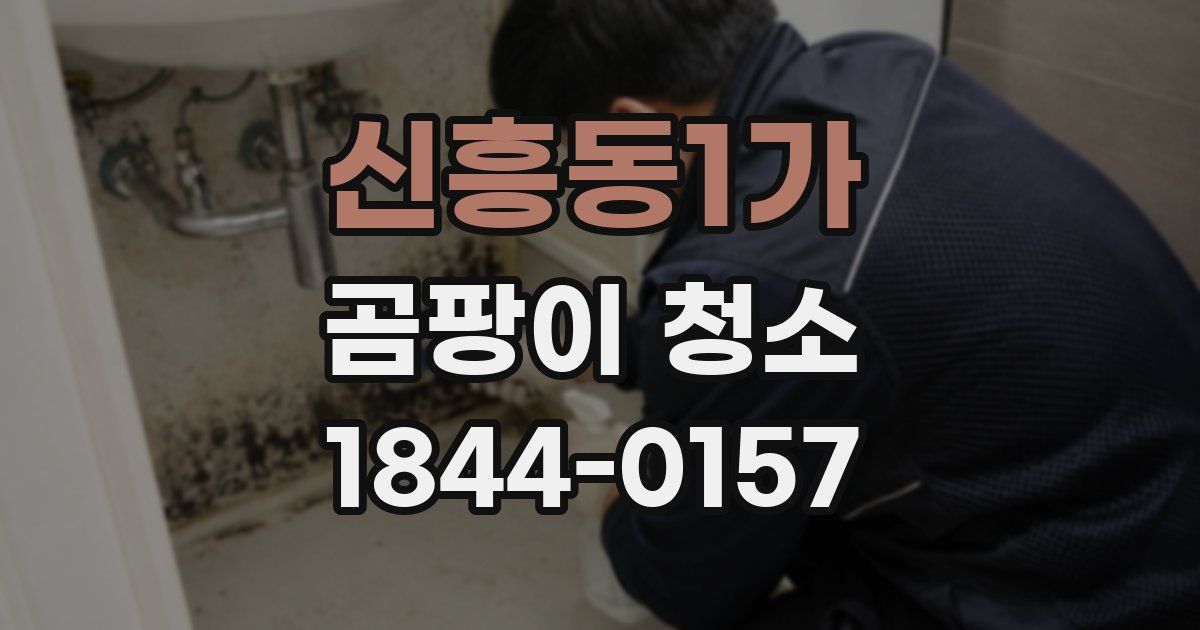 신흥동1가 곰팡이 청소