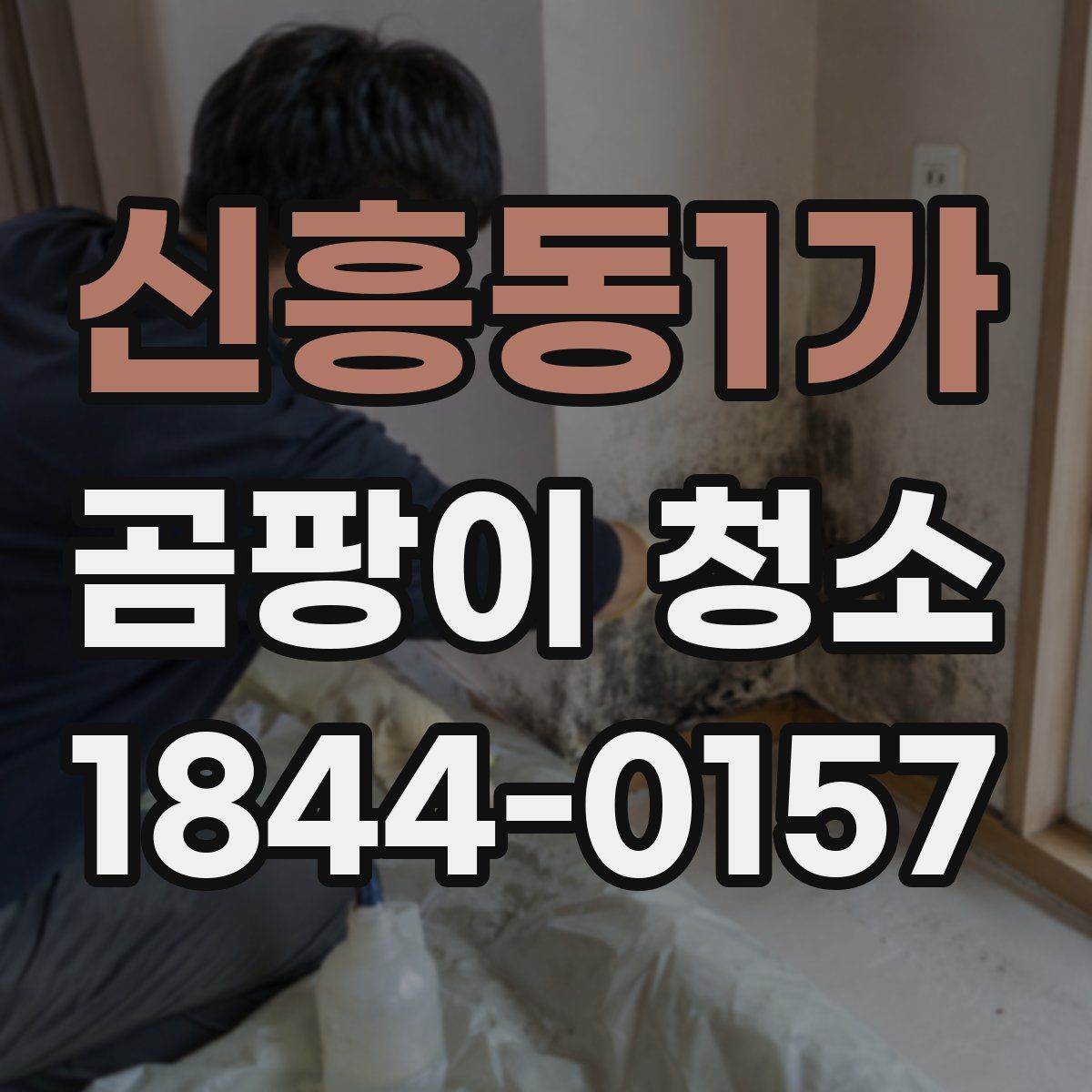 신흥동1가 곰팡이 청소