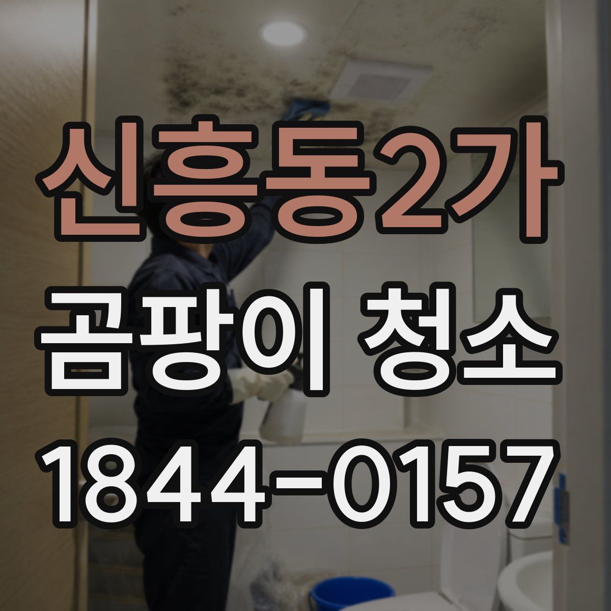 신흥동2가 곰팡이 청소