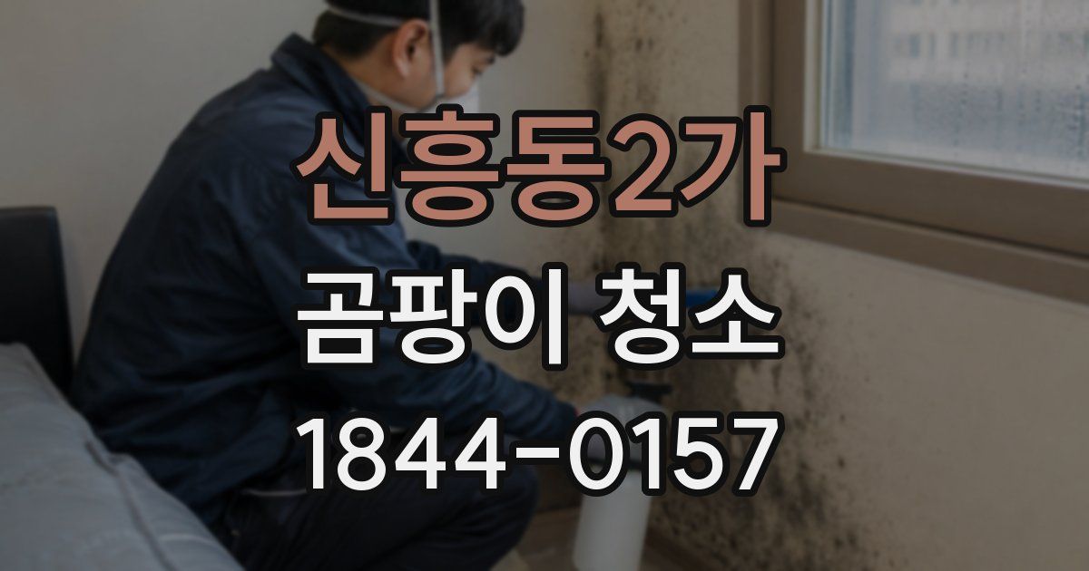 신흥동2가 곰팡이 청소