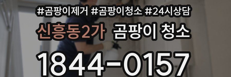 신흥동2가 곰팡이 청소