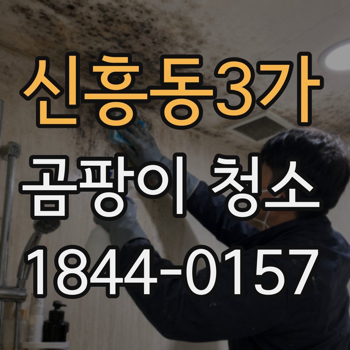 신흥동3가 곰팡이 청소 표면 상태에 따라 달라지는 도구 고르기