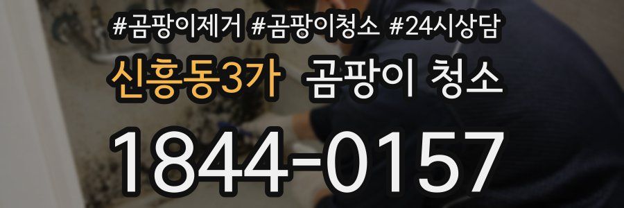 신흥동3가 곰팡이 청소