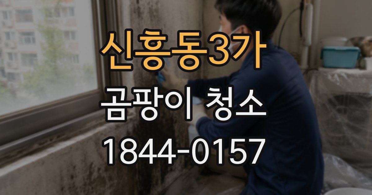 신흥동3가 곰팡이 청소