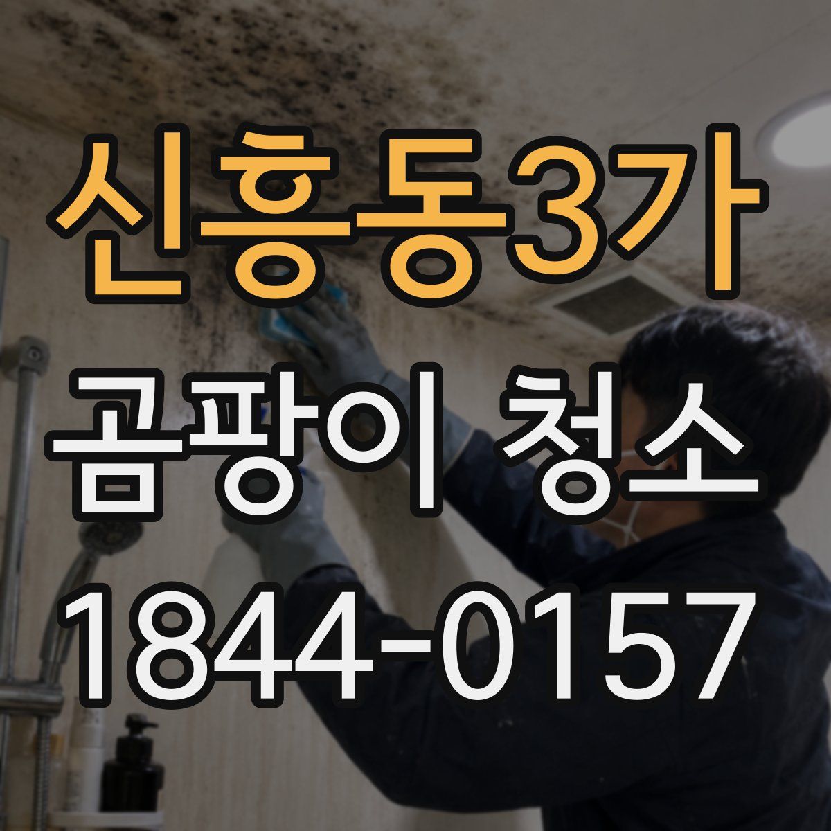 신흥동3가 곰팡이 청소