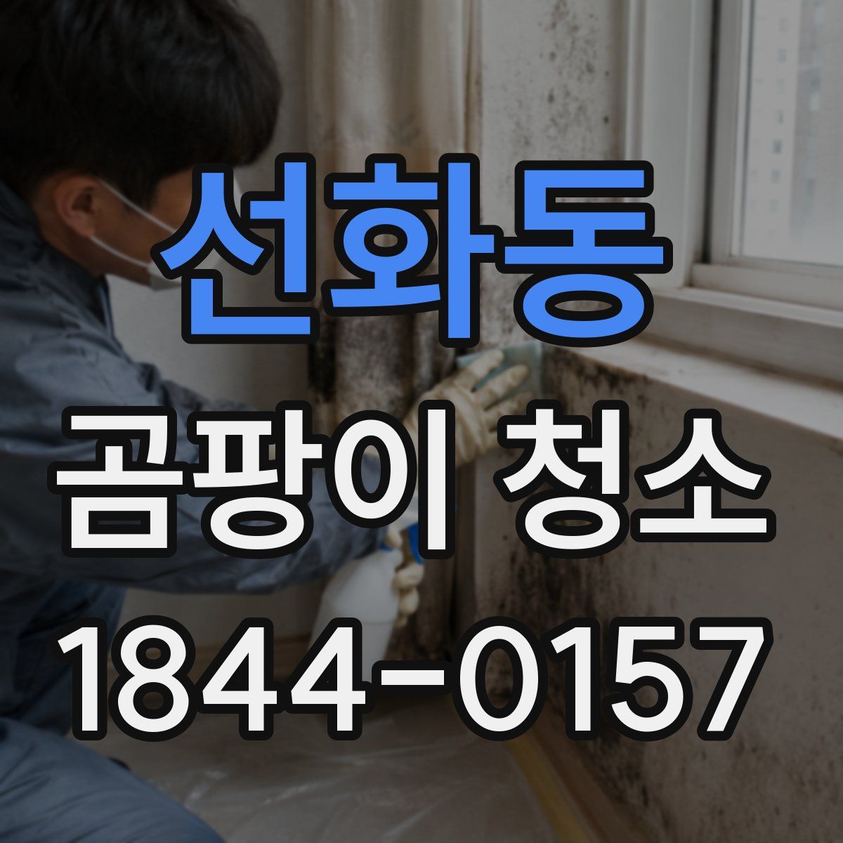 선화동 곰팡이 청소