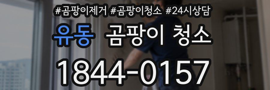 유동 곰팡이 청소