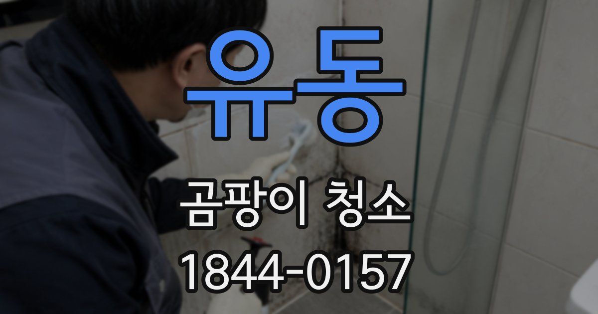 유동 곰팡이 청소