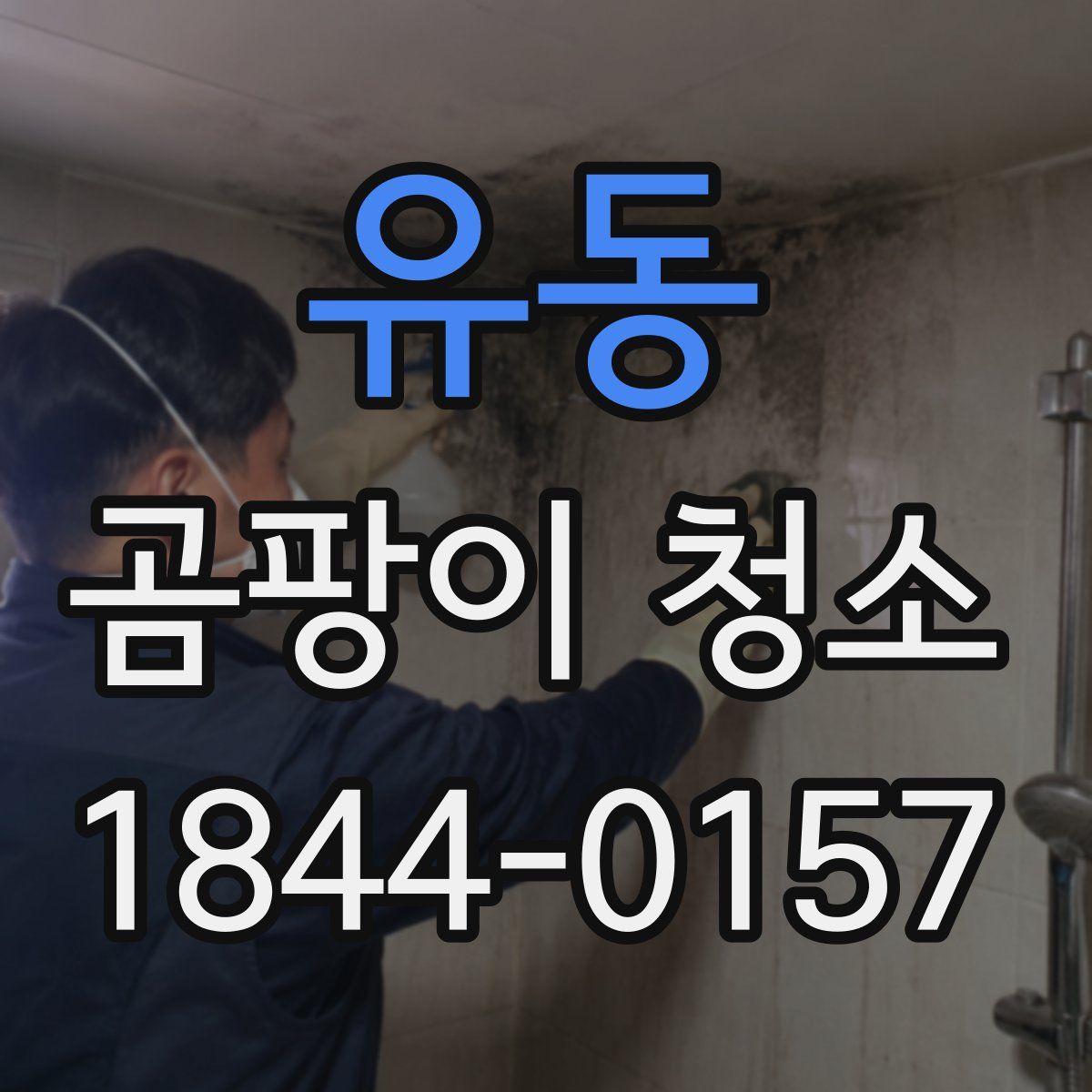 유동 곰팡이 청소