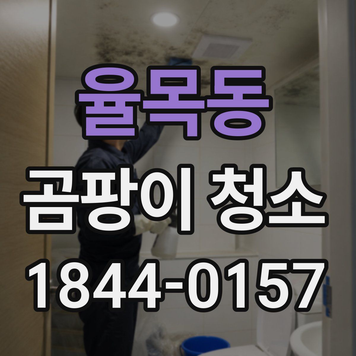 율목동 곰팡이 청소