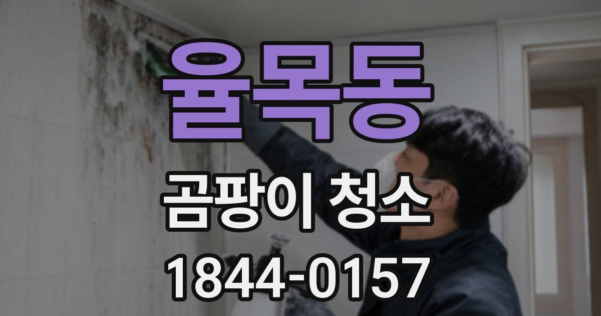 율목동 곰팡이 청소