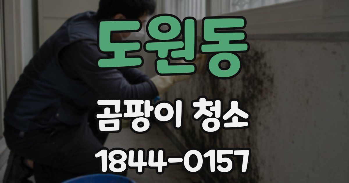 도원동 곰팡이 청소