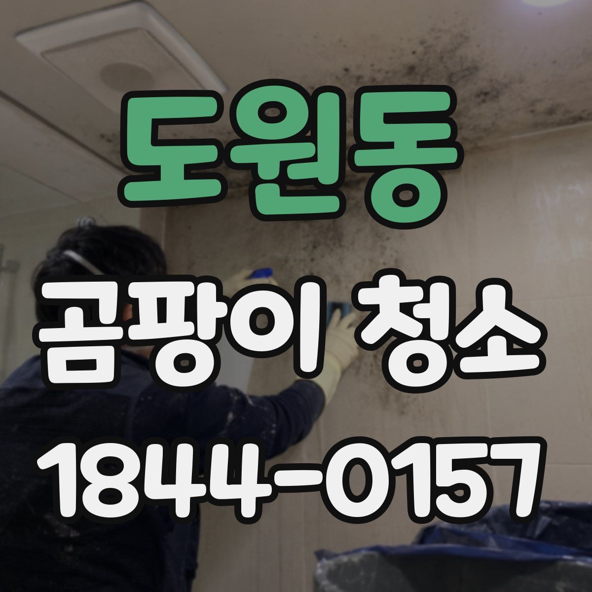 도원동 곰팡이 청소