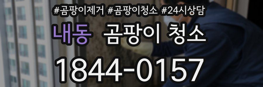 내동 곰팡이 청소