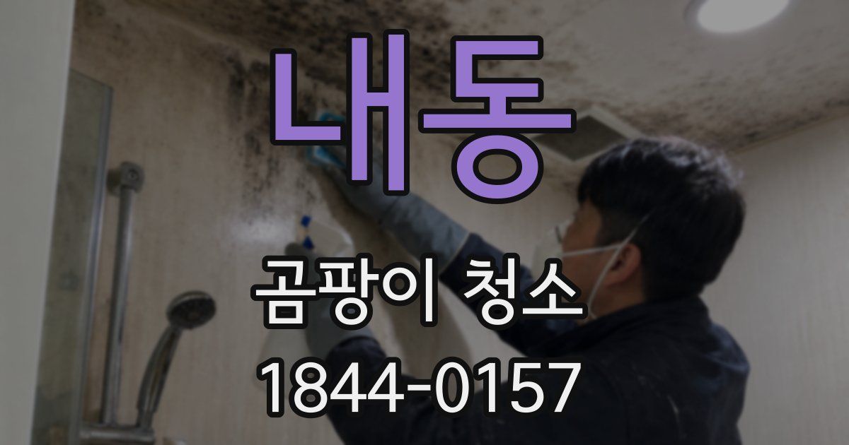 내동 곰팡이 청소