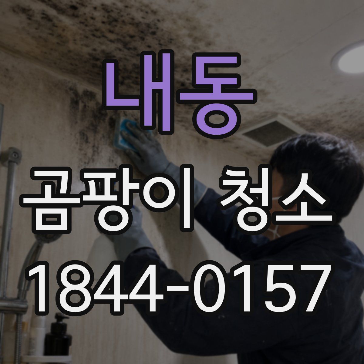 내동 곰팡이 청소
