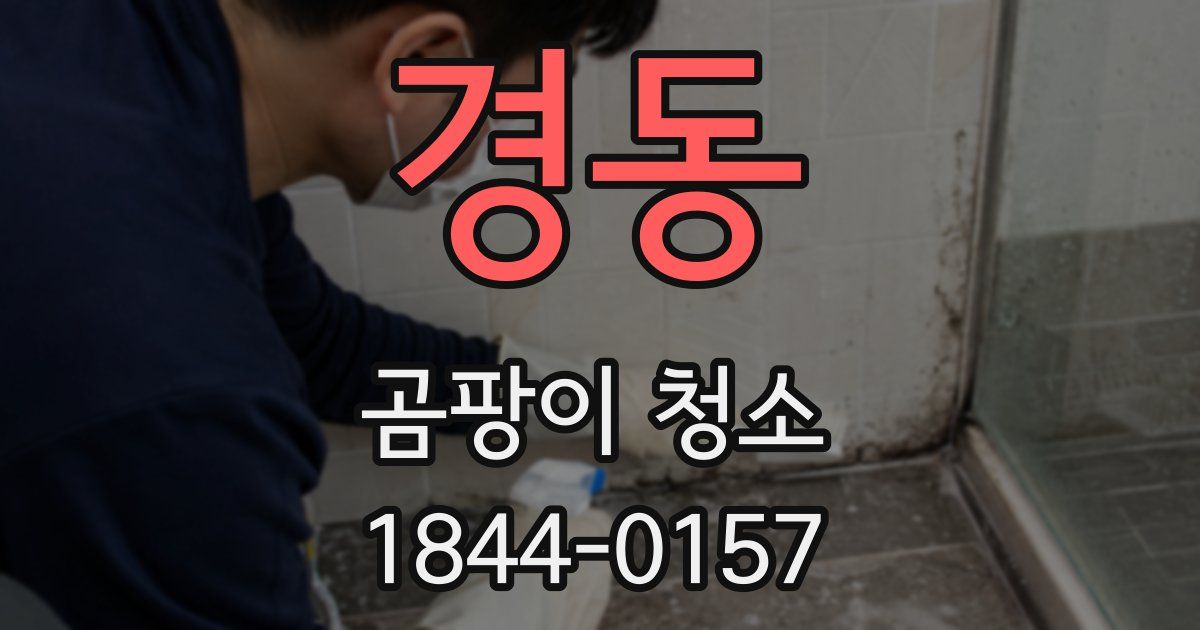 경동 곰팡이 청소